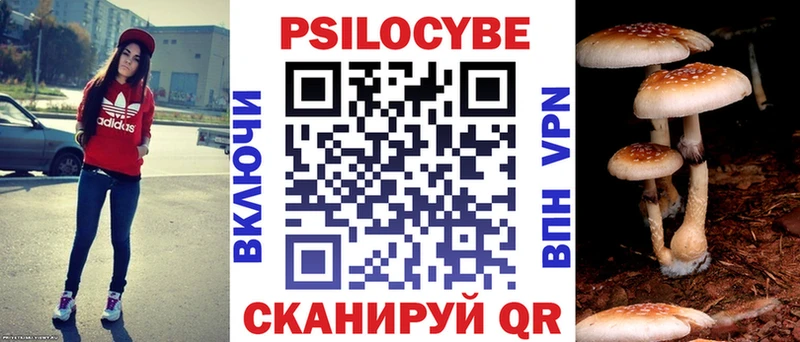 Псилоцибиновые грибы Cubensis Осташков