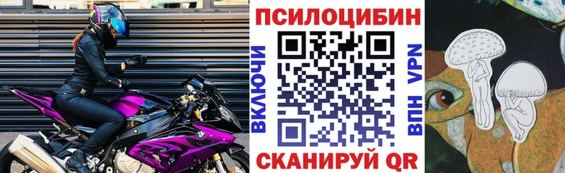 Купить закладки  Осташков  Псилоцибиновые грибы Psilocybine cubensis 