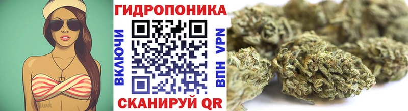 Купить  Осташков  Конопля White Widow 